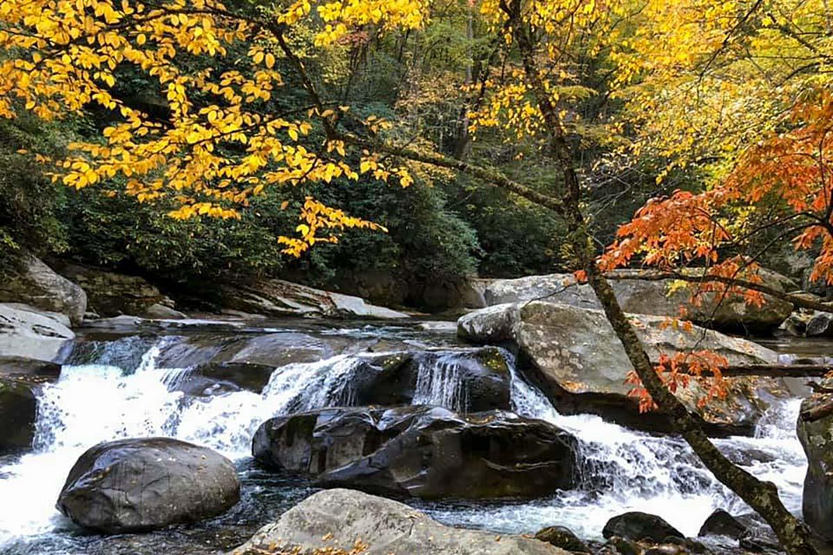 Hike by a stream this fall in the Smokies