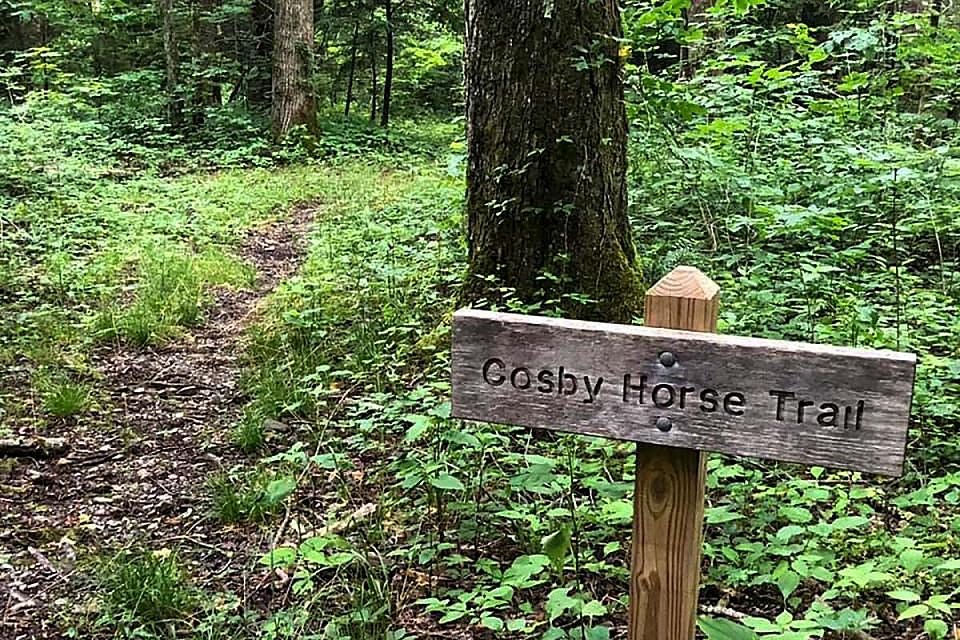 Cosby Horse Trail