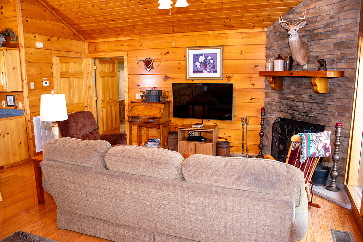 Mountaintop Experience Cabin image 31