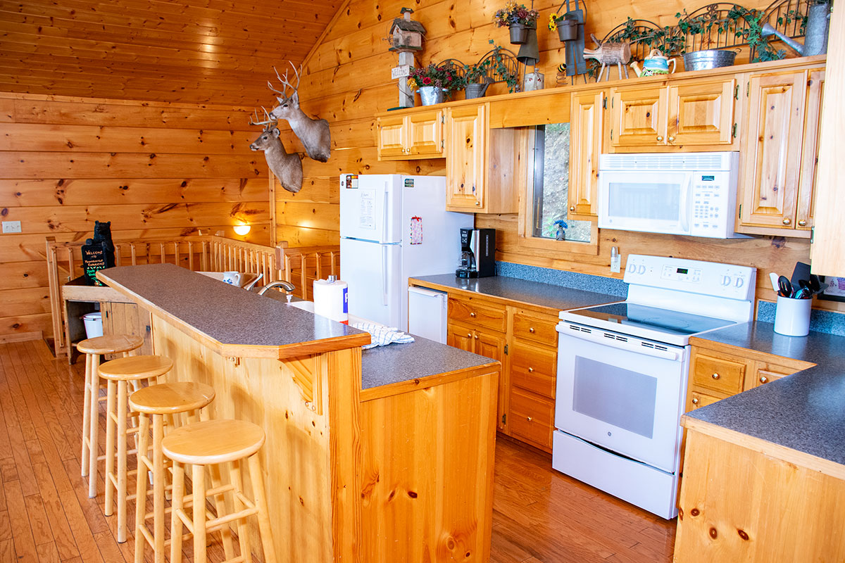 Mountaintop Experience Cabin image 32