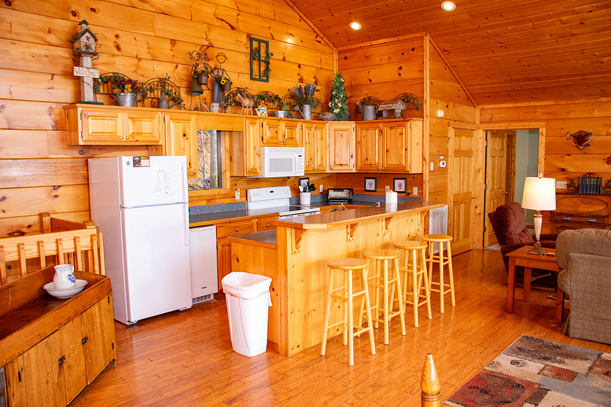 Mountaintop Experience Cabin image 35
