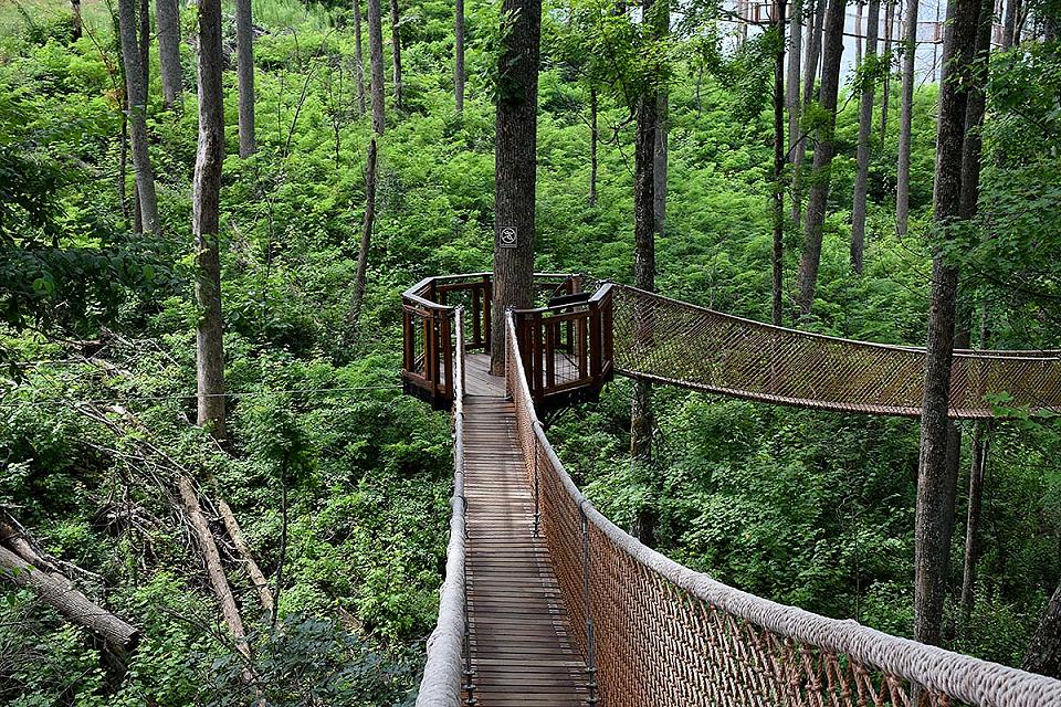 Long rope bridge