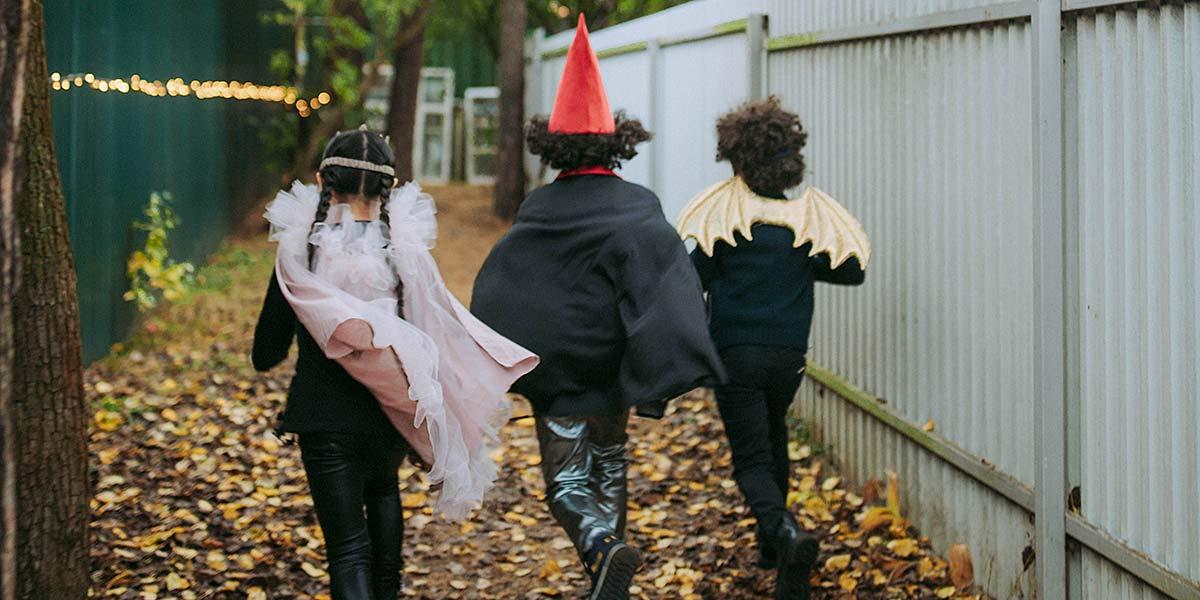 Kids in costume in the Smoky Mountains.