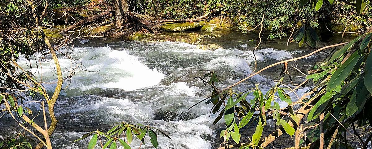 mountain stream