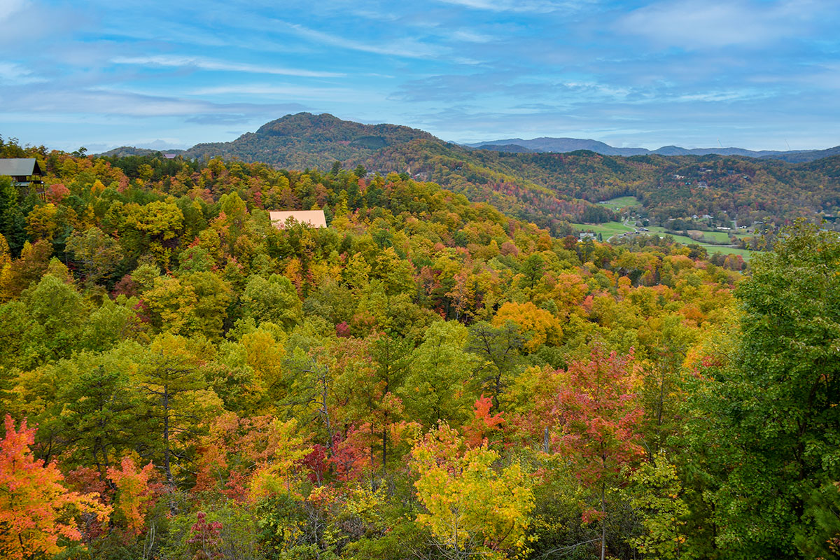 American Beauty Cabin image 20