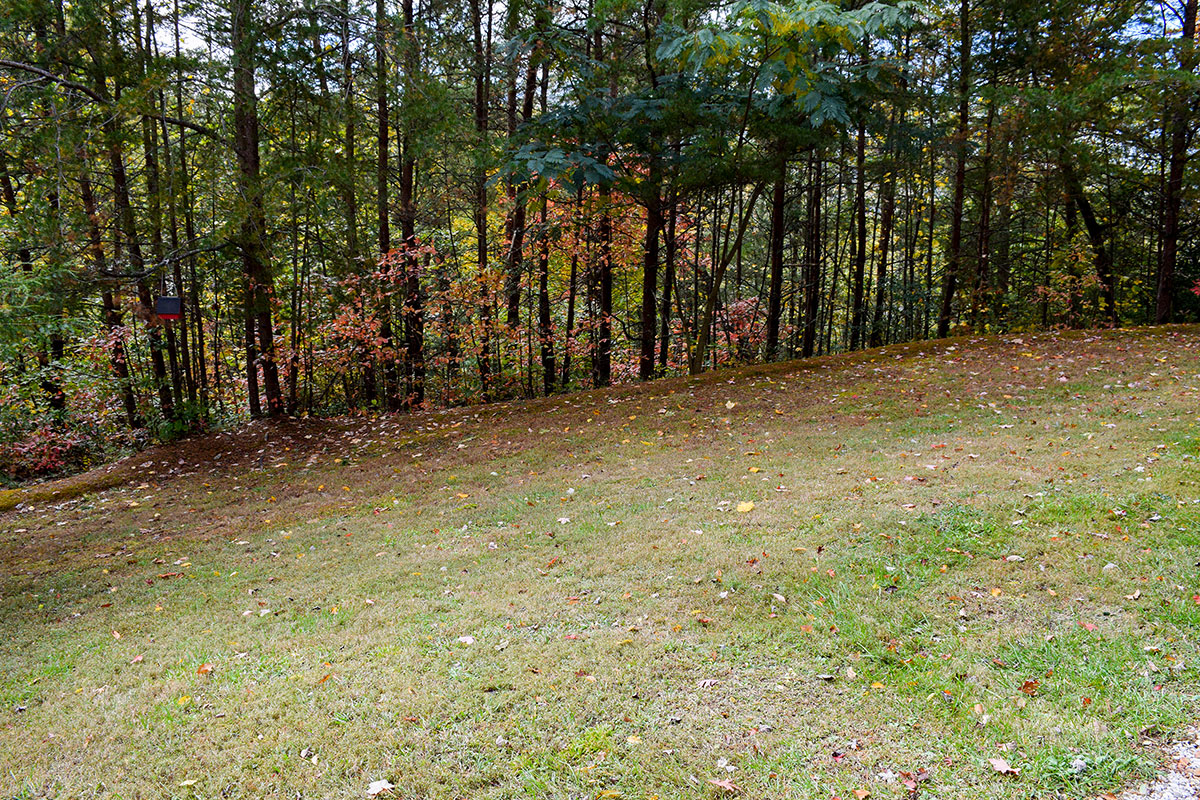 Boundary Haven Cabin image 42