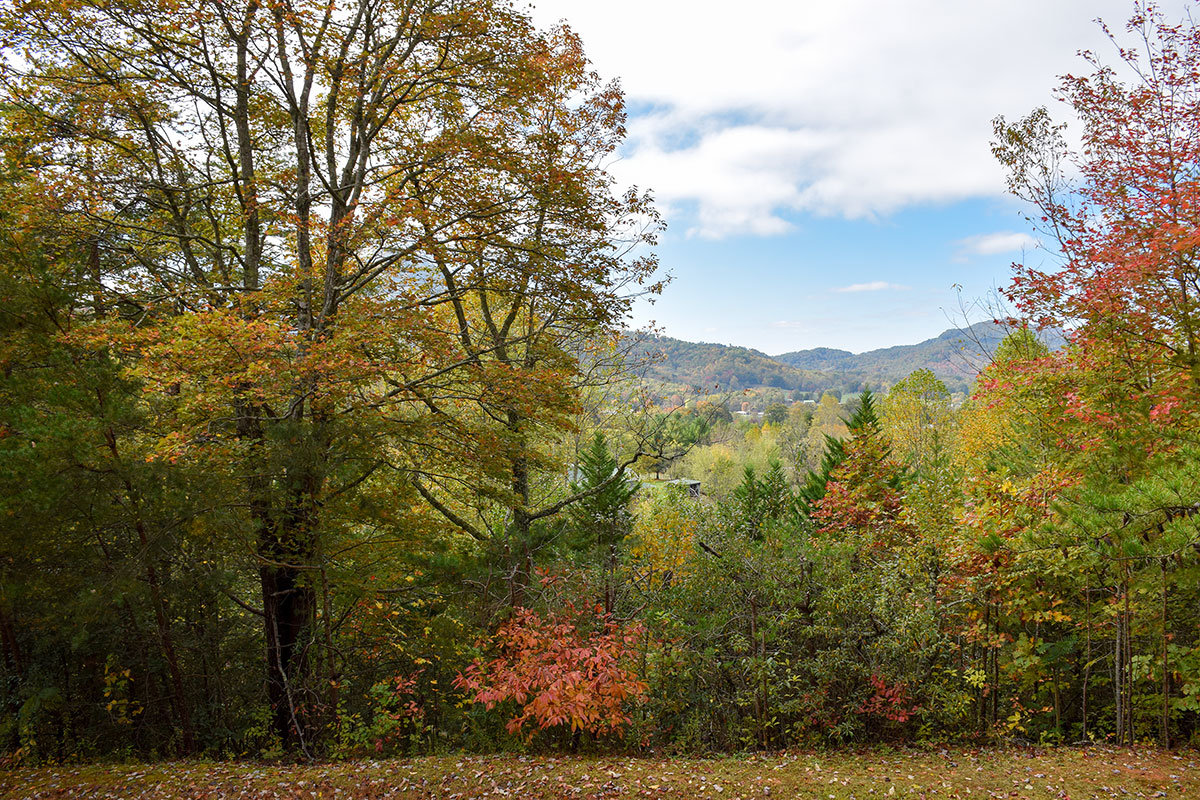 Boundary Haven Cabin image 43