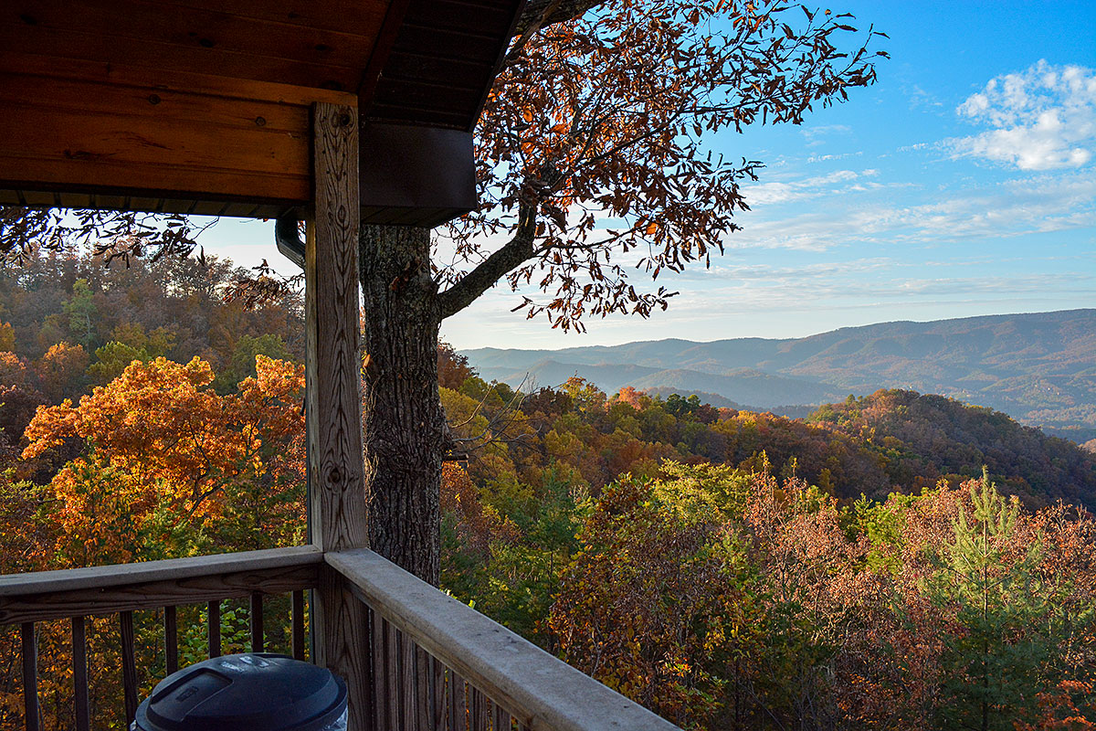 Cozy Quarters Cabin image 04