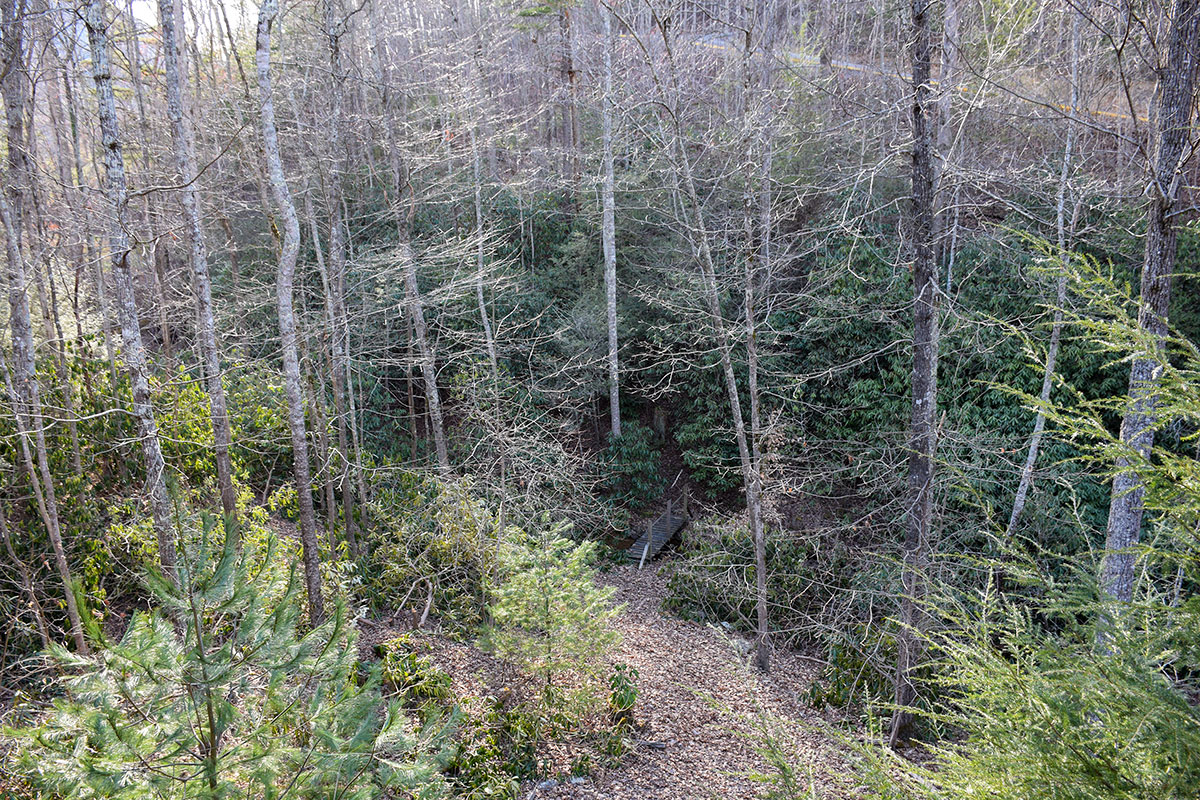 Creeksong Cabin image 08