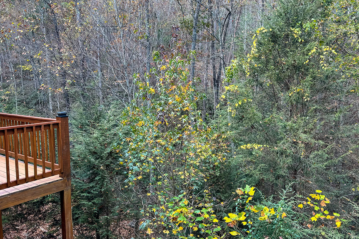 Second picture of rental cabin