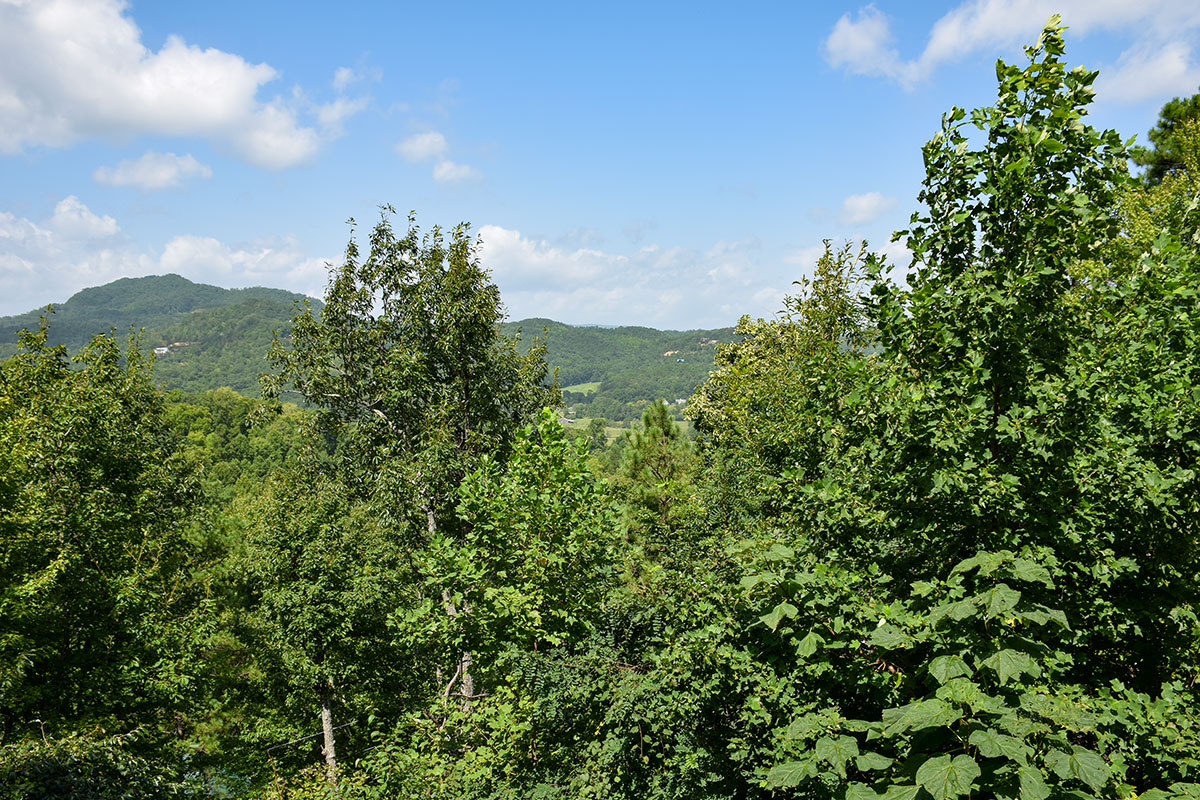 Grandmother\'s Mountain Lodge Cabin image 20