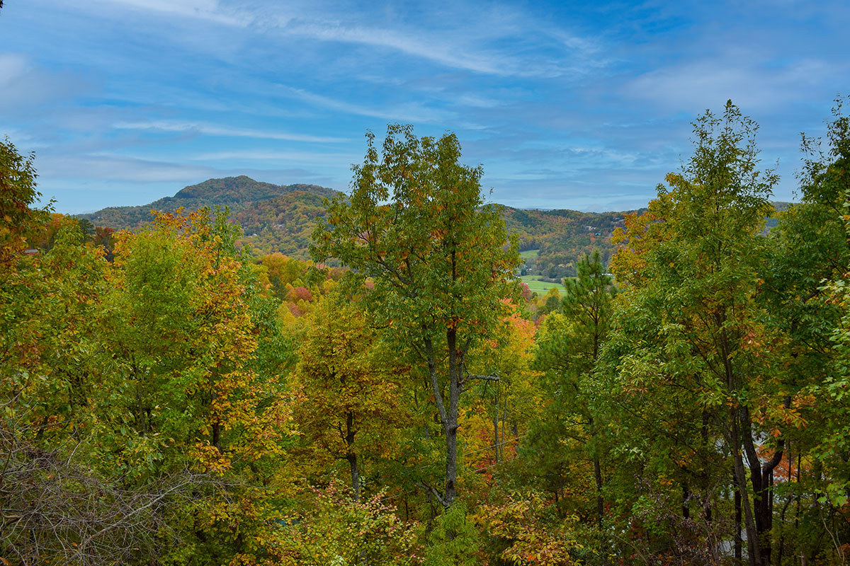 Grandmother\'s Mountain Lodge Cabin image 29