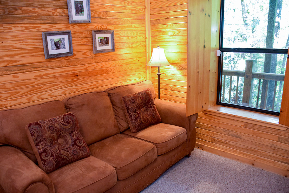 Hawk\'s Nest Cabin image 28