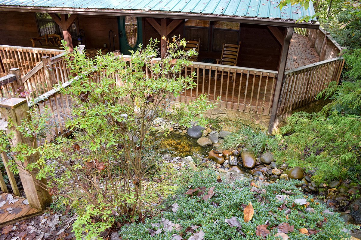 Hawk\'s Nest Cabin image 36