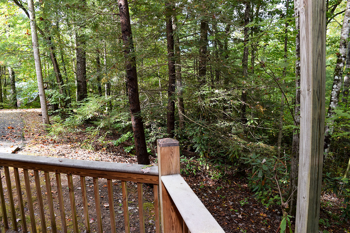 Hawk\'s Nest Cabin image 42