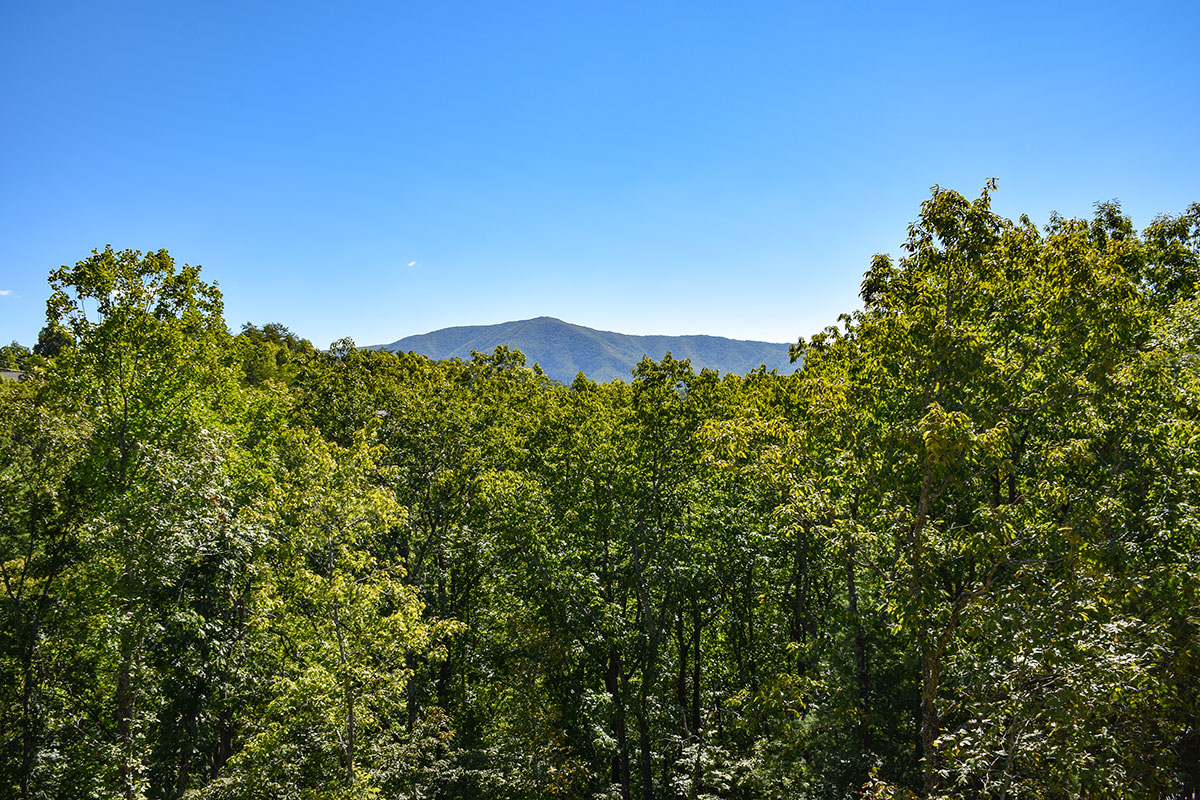 Second picture of rental cabin