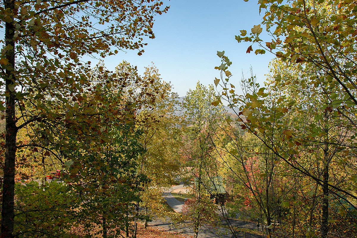 Home On The Ridge Cabin image 05