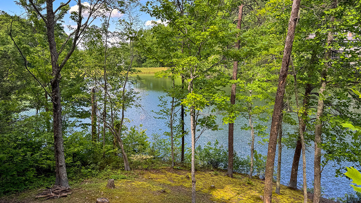 Lake Song Cabin image 53