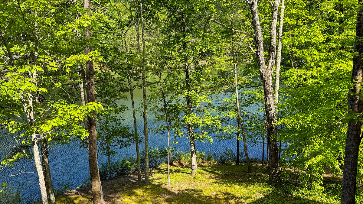 Lake Song Cabin image 54