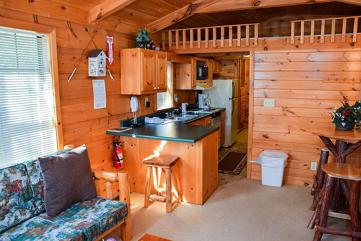 Northern Lites Cabin image 02