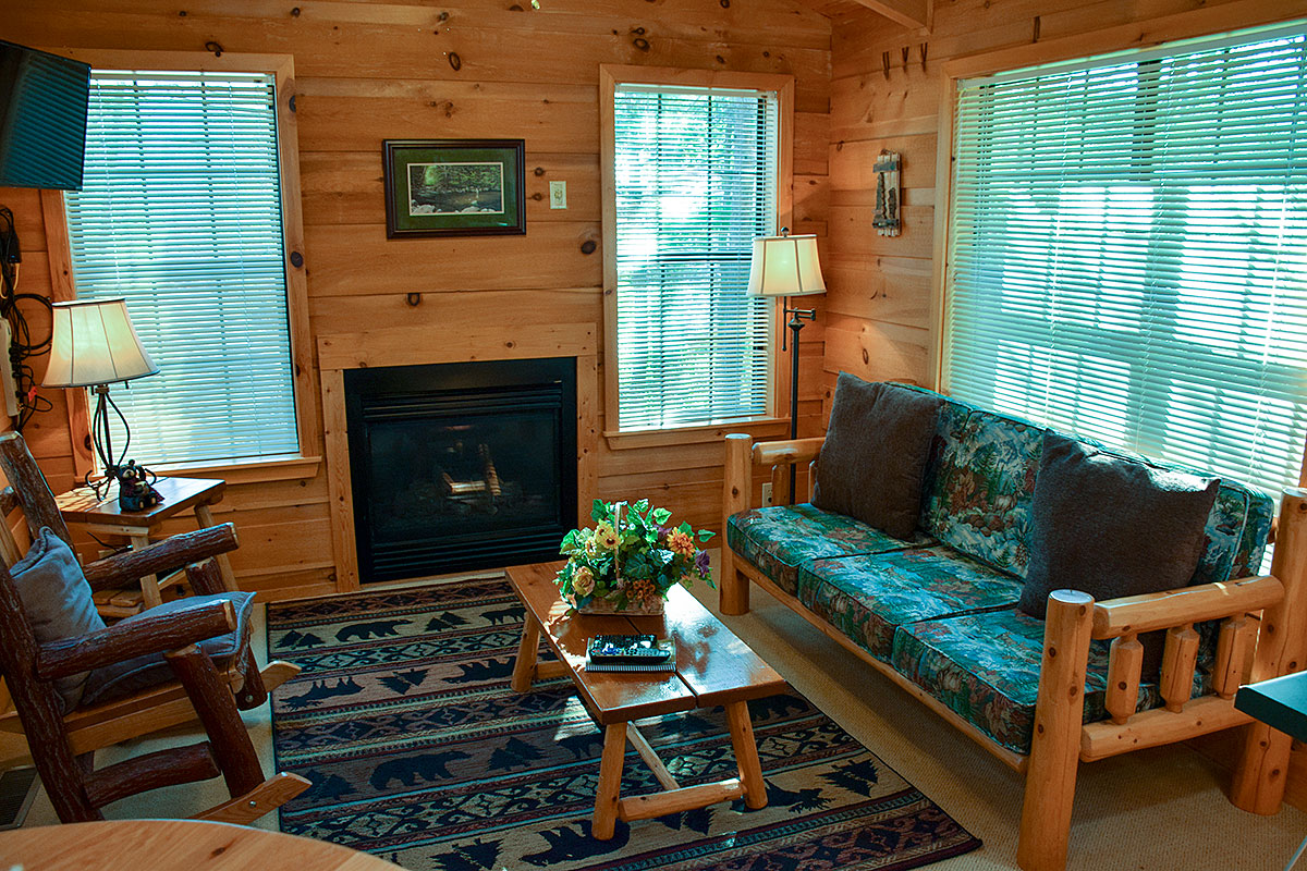 Northern Lites Cabin image 15