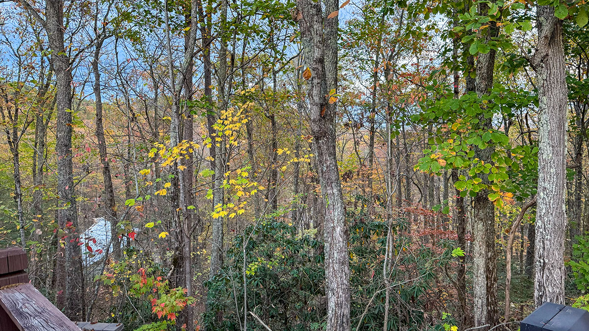 Southern Nites Cabin image 24