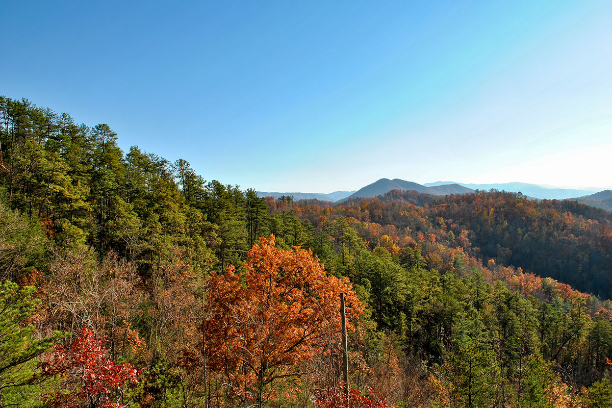 Unforgettable Cabin image 22