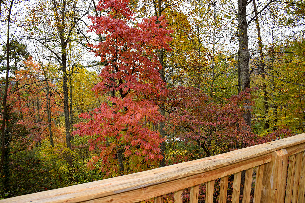 Weeks Worth Cabin image 24